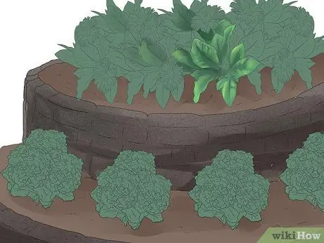 Xeriscape Step 7 Xeriscape Step 7