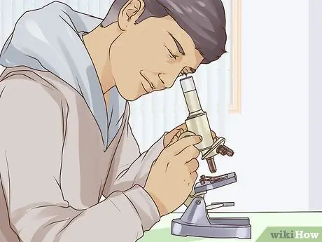Выращивание водорослей Шаг 10