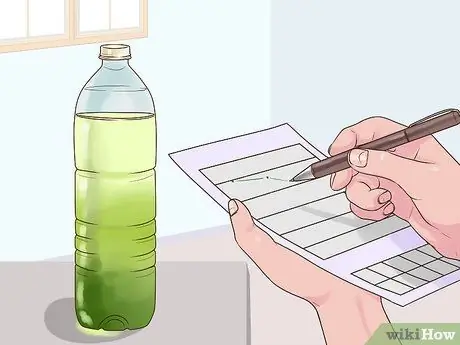 Выращивание водорослей Шаг 8
