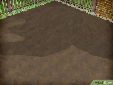 Выращивание флоксов, шаг 2