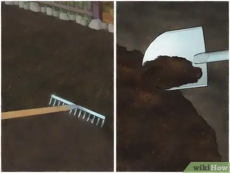 Выращивание флоксов, шаг 4