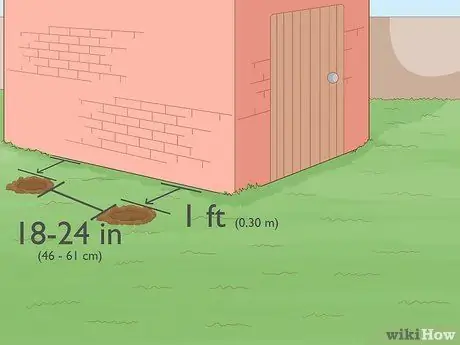 Выращивание плюща на кирпичной стене Шаг 7