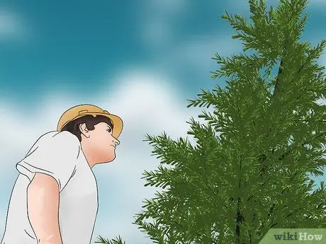 Очистить землю вручную, шаг 5