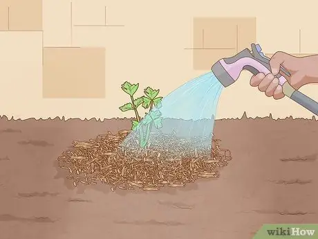 Постройте живой забор Шаг 13