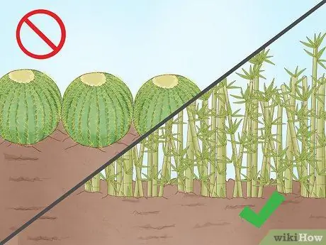 Постройте живой забор Шаг 15