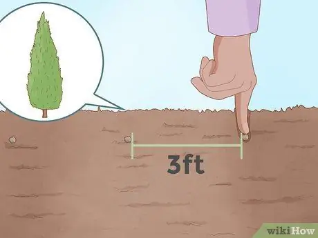 Постройте живой забор Шаг 4