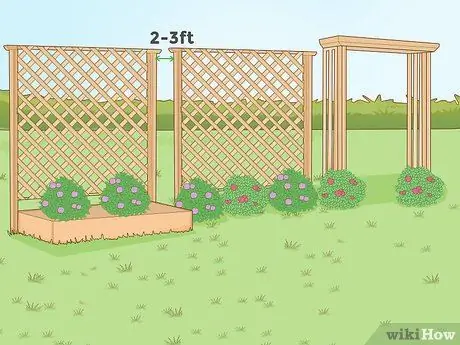 Постройте живой забор Шаг 8