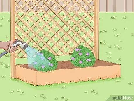 Постройте живой забор Шаг 9