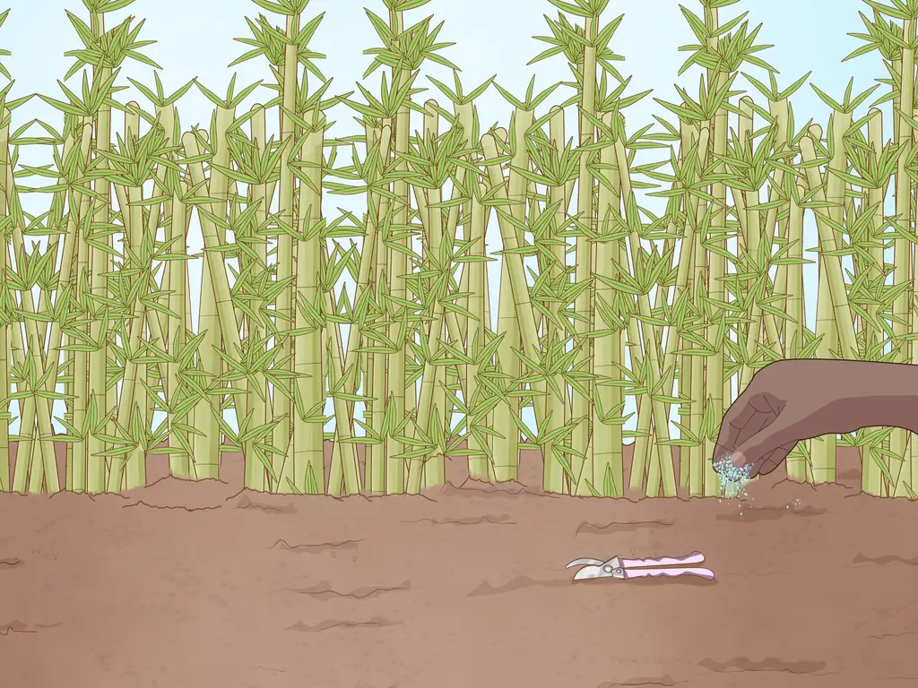 4 способа построить живой забор