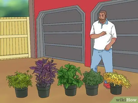 Пейзаж Шаг 11