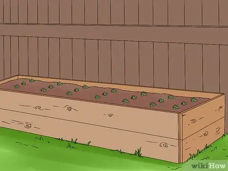 Пейзаж Шаг 16