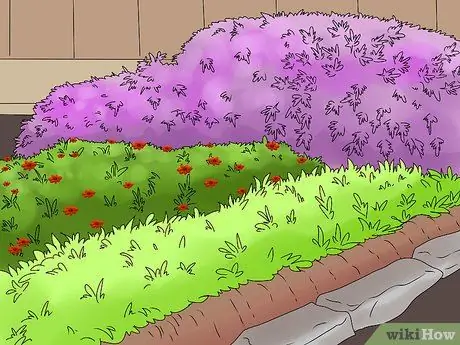 Пейзаж Шаг 8