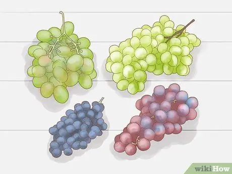 Выращивание винограда из семян Шаг 1