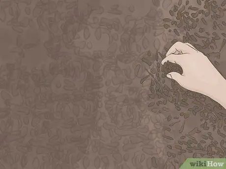 Подготовка почвы для внесения удобрений Шаг 6