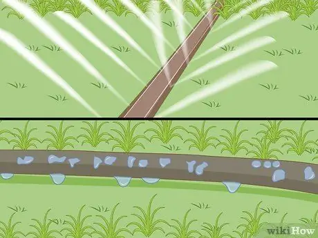 Защитите свой сад в суровое лето Шаг 1