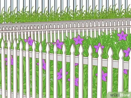 Защитите свой сад суровым летом Шаг 12