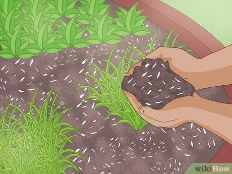 Защитите свой сад в суровое лето Шаг 2