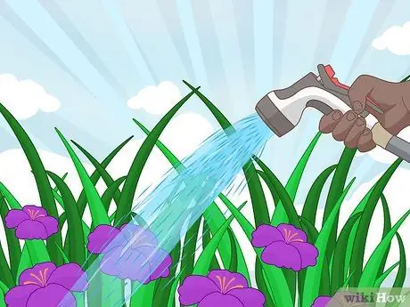 Защитите свой сад в суровое лето Шаг 3