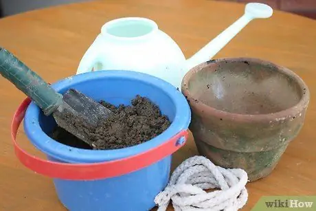 Используйте фитили для полива растений Шаг 3