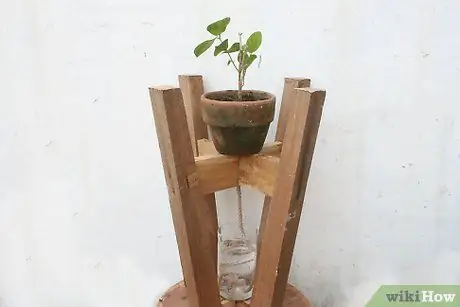 Используйте фитили для полива растений Шаг 9