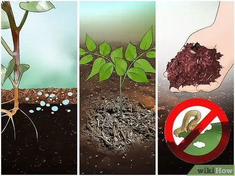 Купить Mulch Step 1