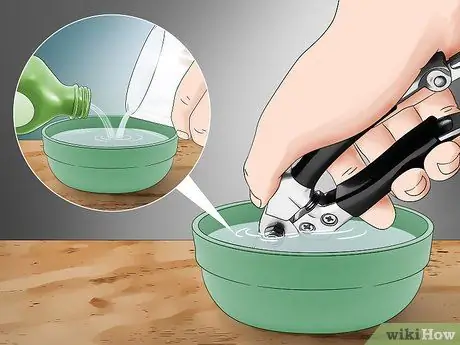 Чернослив из баклажанов Шаг 8