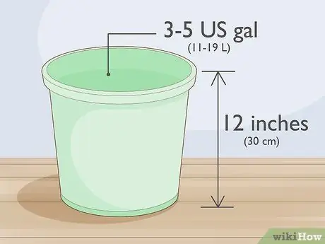 Выращивайте бамию в горшках, шаг 1