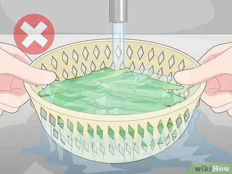 Выращиваем бамию в горшках Шаг 13