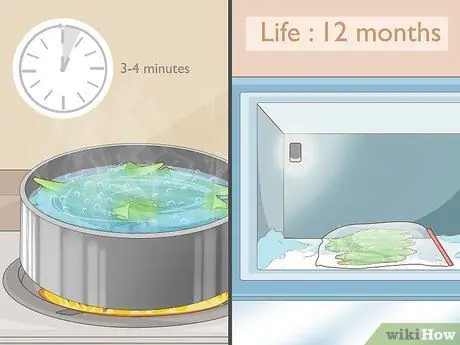 Выращиваем бамию в горшках Шаг 15