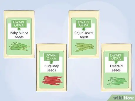 Выращивайте бамию в горшках, шаг 2