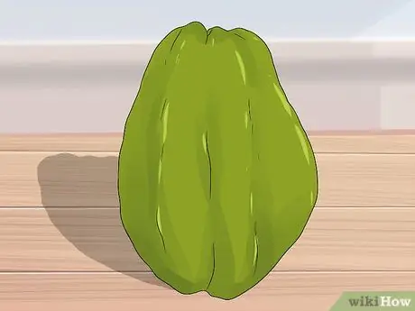 Выращивание лозы чоко, шаг 1