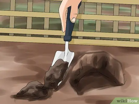 Выращивание лозы чоко Шаг 4