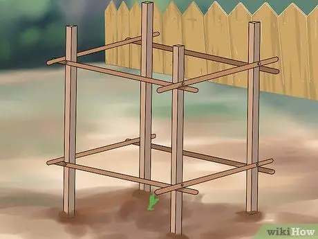 Выращивание лозы чоко Шаг 8