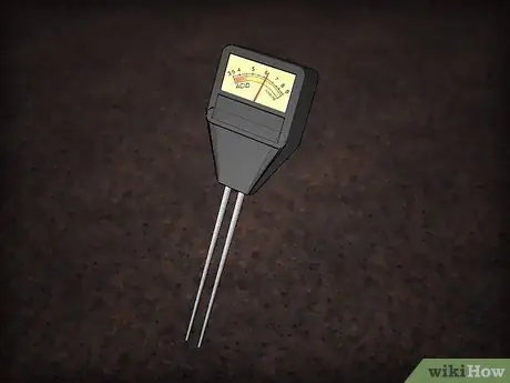 Засеять газон сорняками Шаг 2
