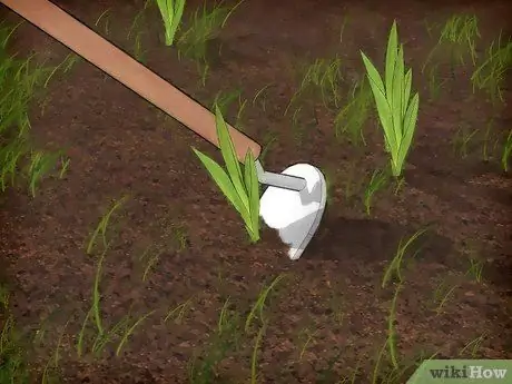 Укладка нового газона Шаг 1