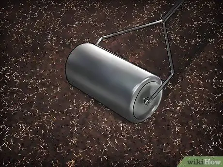 Засеять газон сорняками Шаг 11