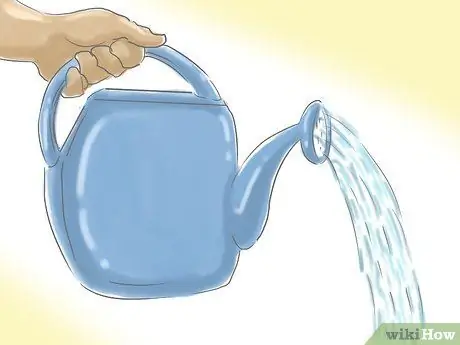 Посадить газон из столонов Шаг 12