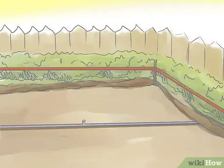 Посадить лужайку из столонов Шаг 2