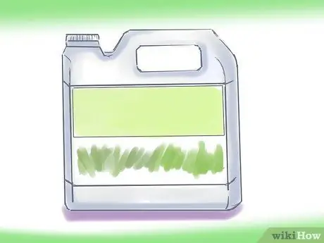 Посадить газон из столонов Шаг 7