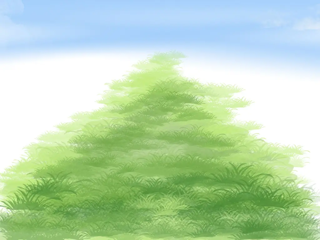 Как посадить газон из столонов: 13 шагов (с иллюстрациями)