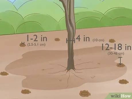 Give Растения Железо Шаг 12