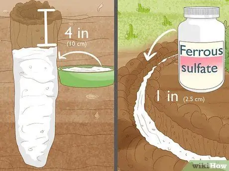 Give Растения Железо Шаг 13