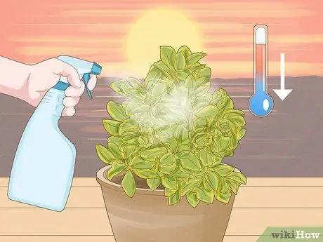 Дайте растениям железо, шаг 3