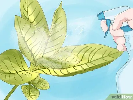 Give Растения Железо Шаг 4