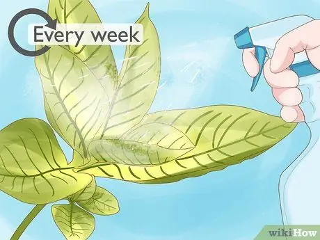 Give Растения Железо Шаг 5