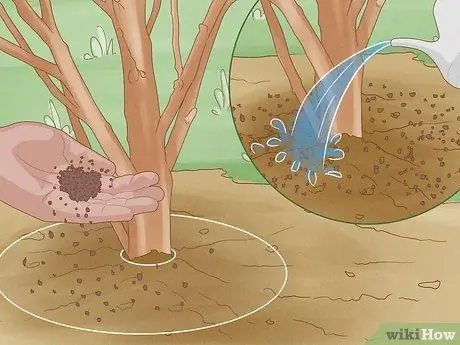 Give Растения Железо Шаг 8