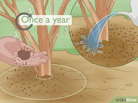 Give Растения Железо Шаг 9