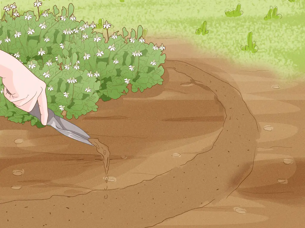 3 простых способа дать растениям железо