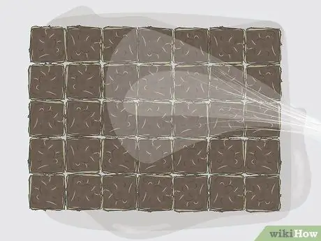 Сажайте вилки Zoysia, шаг 3