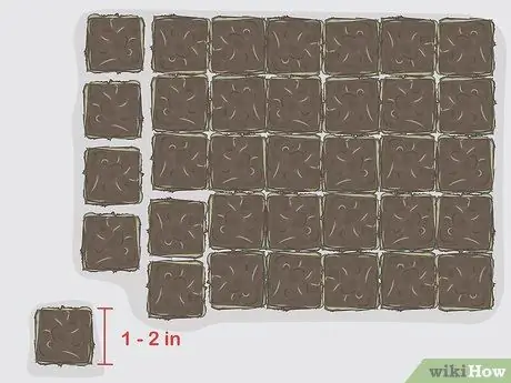 Растение Zoysia Plugs Шаг 4